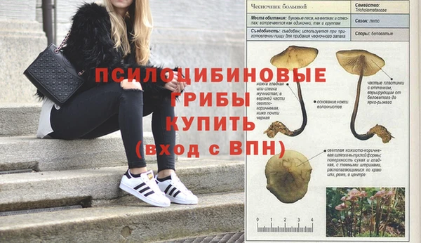 не бодяженный Корсаков