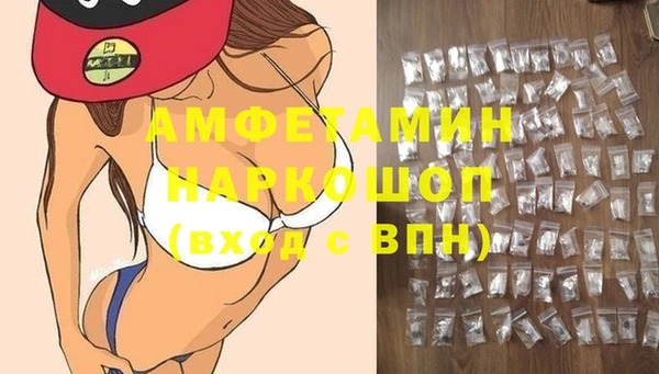 mdpv Краснослободск