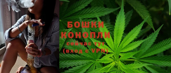 Альфа ПВП Кукмор