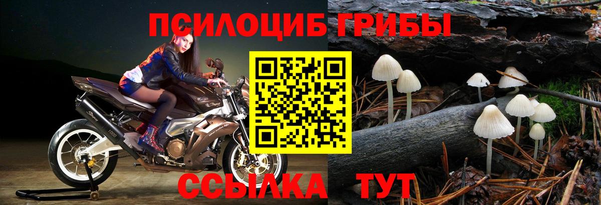Галлюциногенные грибы Psilocybine cubensis  Вход с VPN  Псилоцибиновые грибы MAGIC MUSHROOMS  Узловая 